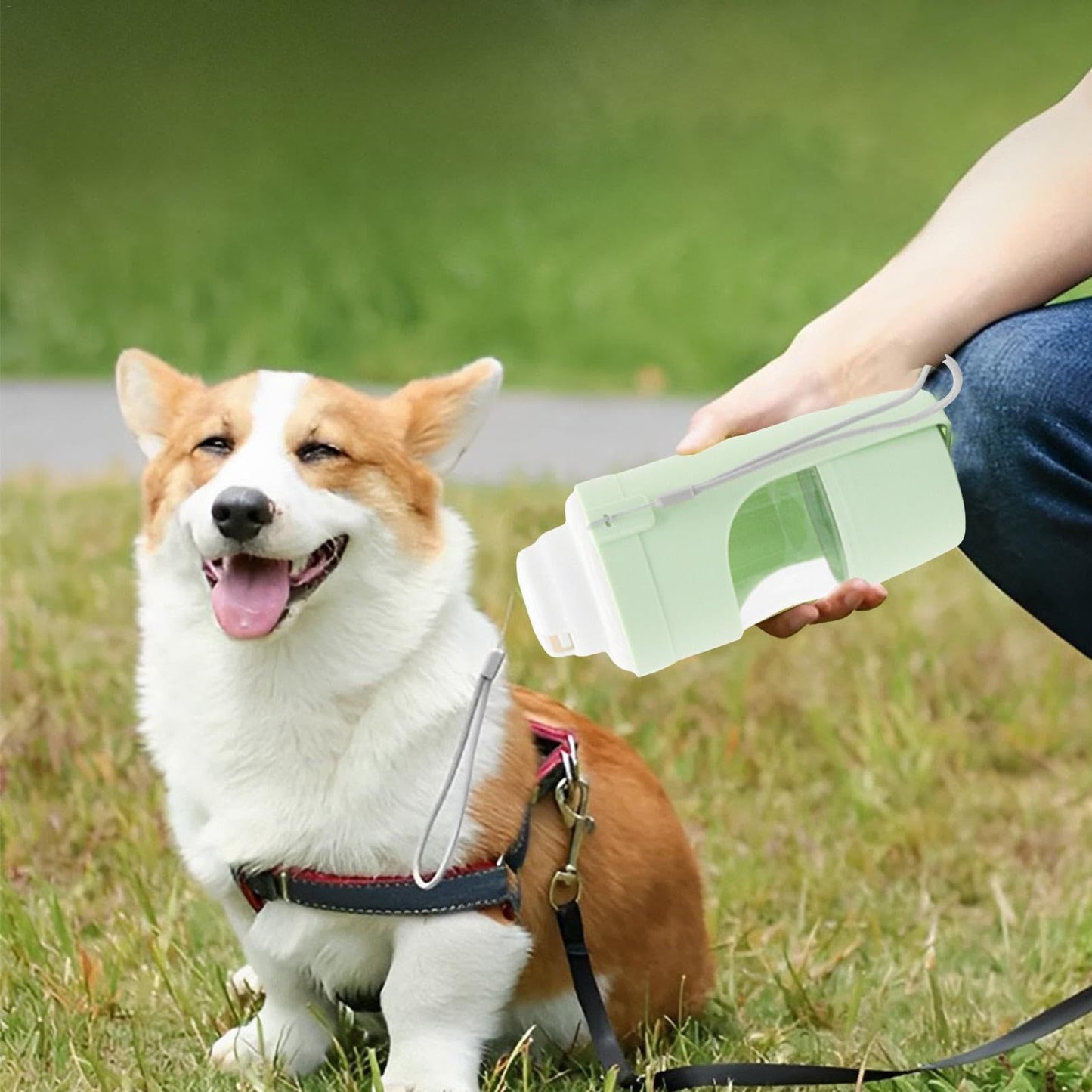 TrailBuddy 2-in-1 Pet Bottle™